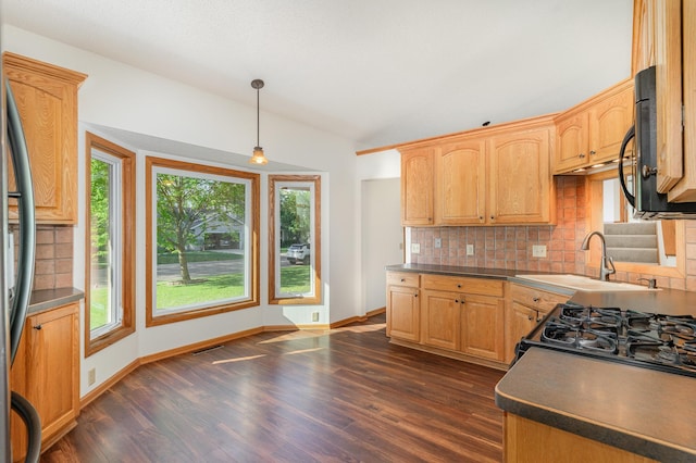12761 Ethelton Way, Apple Valley, MN 55124 - kitchen with backsplash, dark wood-type flooring, black microwave, a sink, and lofted ceiling