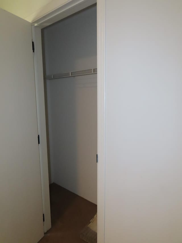 47375 Gone Golfin, Garrison, MN 56450 - view of closet