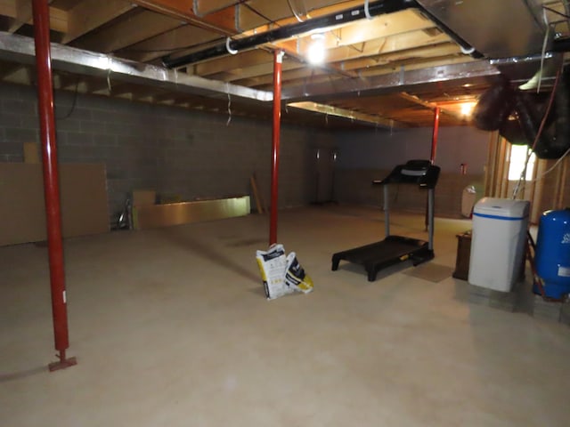 47375 Gone Golfin, Garrison, MN 56450 - unfinished basement with a water pressure tank and a water softener