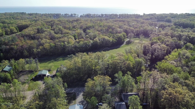 47375 Gone Golfin, Garrison, MN 56450 - aerial overview of property's location with a forest