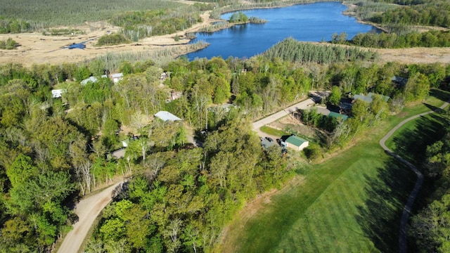 47375 Gone Golfin, Garrison, MN 56450 - aerial overview of property's location with a large body of water and a forest