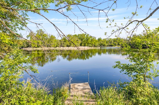 305 1st St NE, Morristown, MN 55052 - photo 8