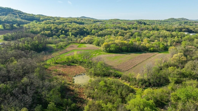 TBD Sand Rd, Mondovi, WI 54755 - photo 4