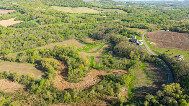 TBD Sand Rd, Mondovi, WI 54755 - photo 7