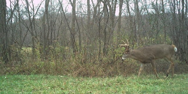 TBD Sand Rd, Mondovi, WI 54755 - photo 10