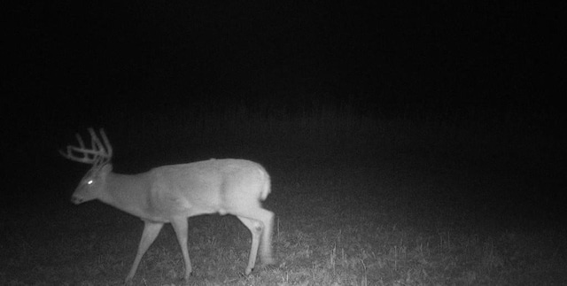 TBD Sand Rd, Mondovi, WI 54755 - photo 19