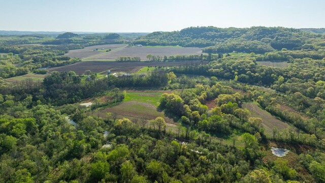 TBD Sand Rd, Mondovi, WI 54755 - photo 31