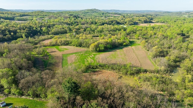 TBD Sand Rd, Mondovi, WI 54755 - photo 49