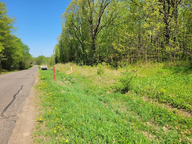 TBD 125th Ave, Beaver Twp, WI 54889