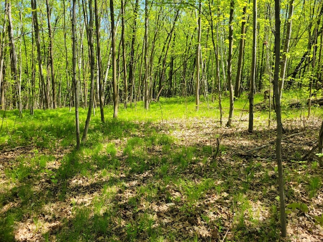 TBD 125th Ave, Beaver Twp, WI 54889