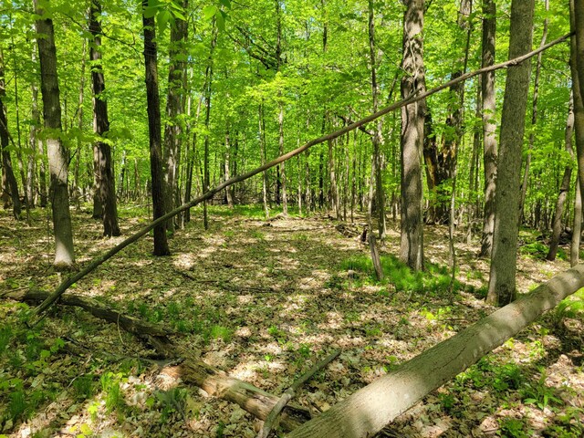 TBD 125th Ave, Beaver Twp, WI 54889