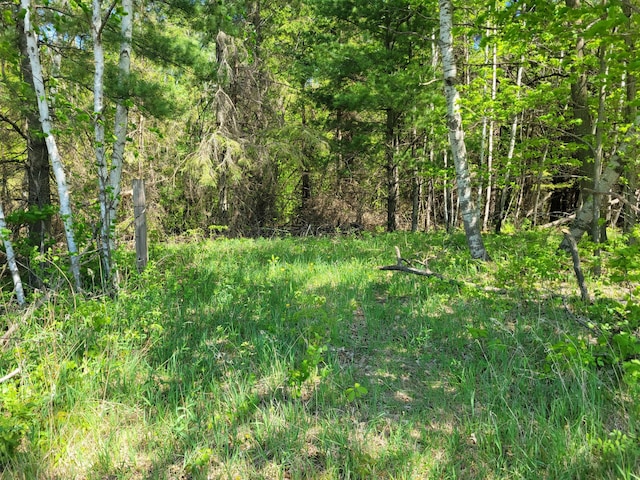 TBD 125th Ave, Beaver Twp, WI 54889