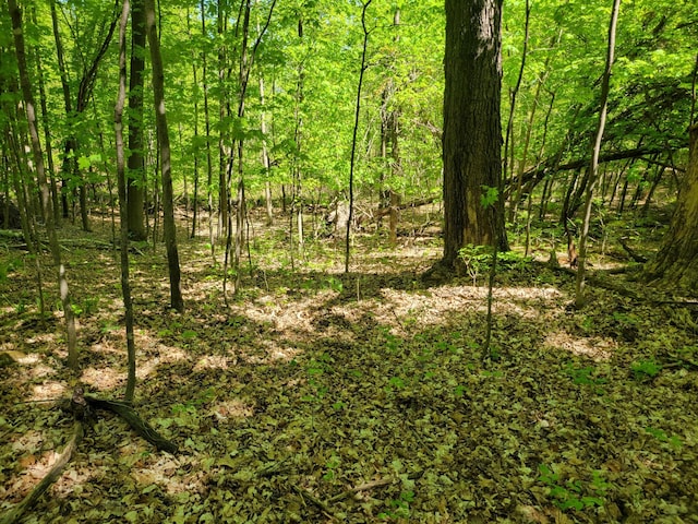 TBD 125th Ave, Beaver Twp, WI 54889