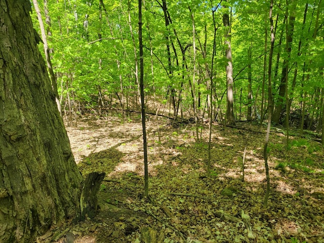 TBD 125th Ave, Beaver Twp, WI 54889
