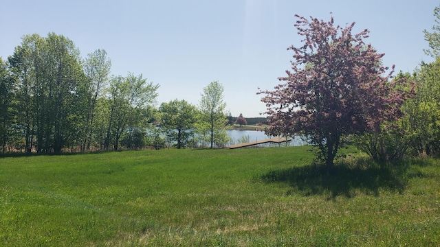 34343 Twin Island Dr, Dent, MN 56528