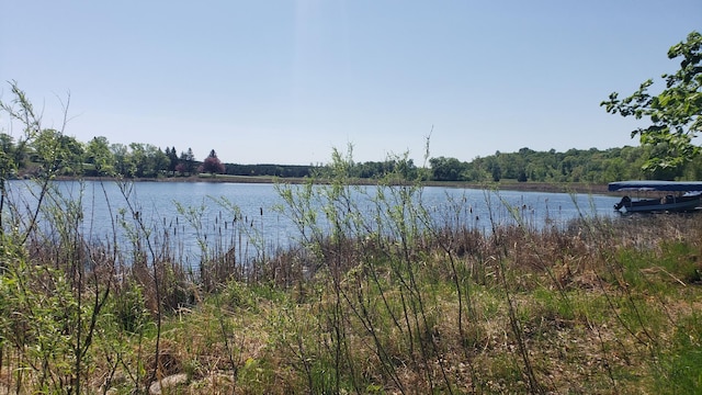34343 Twin Island Dr, Dent, MN 56528