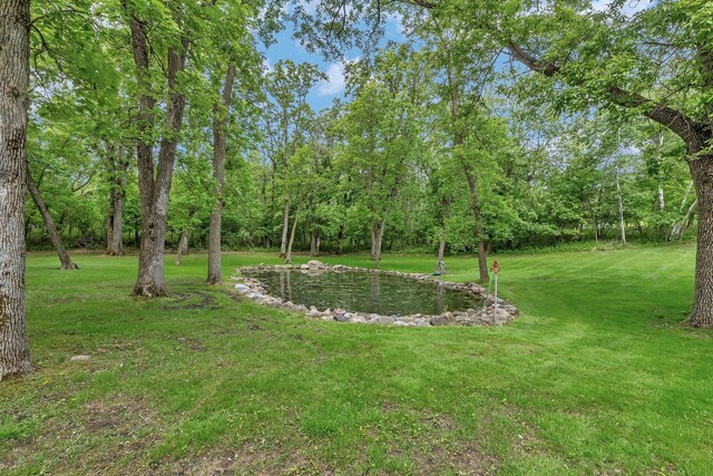 22905 Grovewood Ln, Rockville, MN 56320 - photo 31