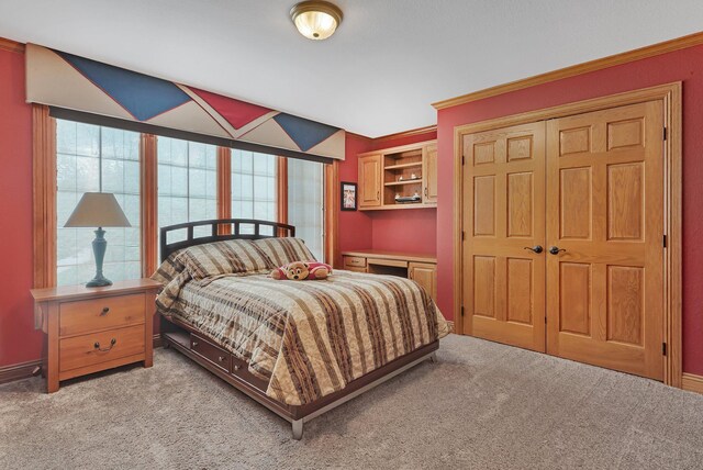 22905 Grovewood Ln, Rockville, MN 56320 - photo 79