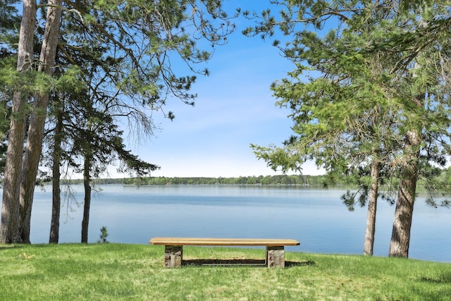 41849 Birchwood Dr, Emily, MN 56447 - water view