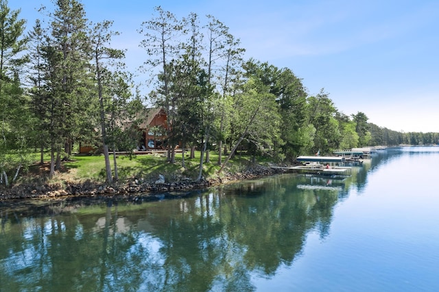 41849 Birchwood Dr, Emily, MN 56447 - water view featuring a forest and a dock