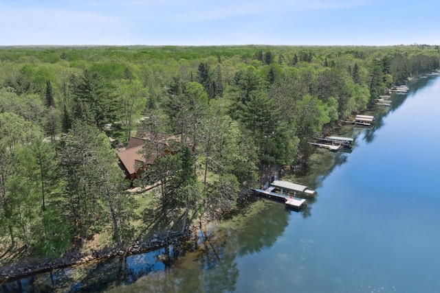 41849 Birchwood Dr, Emily, MN 56447 - bird's eye view of a heavily wooded area and a nearby body of water