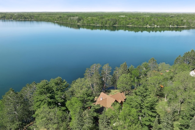 41849 Birchwood Dr, Emily, MN 56447 - drone / aerial view of a forest and a large body of water