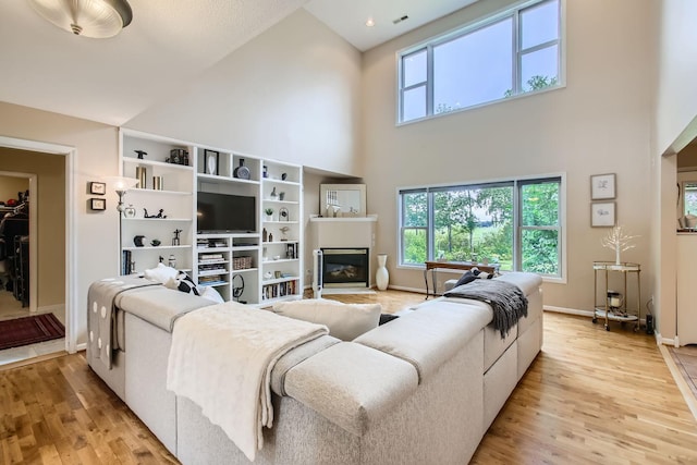 18046 Zodiac St NE, Columbus, MN 55025 - living area with a high ceiling, a glass covered fireplace, light wood-style flooring, healthy amount of natural light, and baseboards