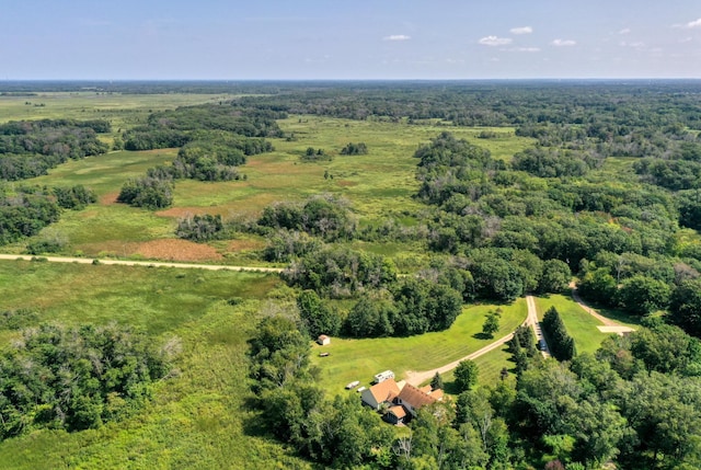 18046 Zodiac St NE, Columbus, MN 55025 - aerial view of a forest