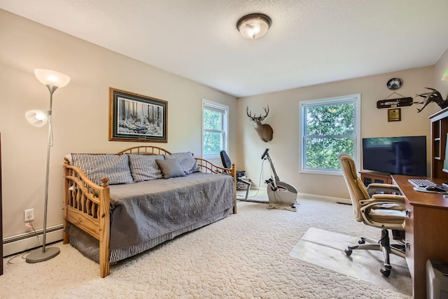 18046 Zodiac St NE, Columbus, MN 55025 - bedroom featuring baseboard heating, multiple windows, carpet flooring, and a desk