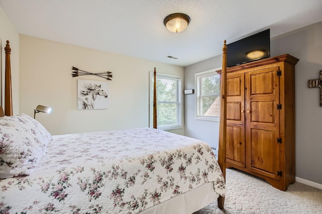 18046 Zodiac St NE, Columbus, MN 55025 - bedroom featuring light colored carpet and baseboards