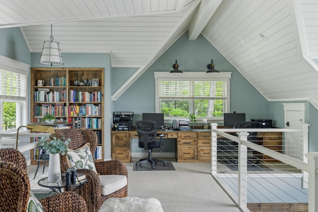 6024 Ojibwa Rd, Brainerd, MN 56401 - home office with healthy amount of natural light, carpet floors, and wooden ceiling