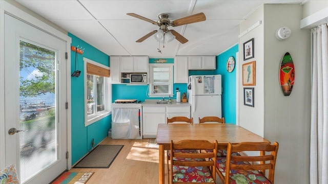 13749 169th Ave, Villard, MN 56385 - dining space featuring a ceiling fan and light wood-style floors