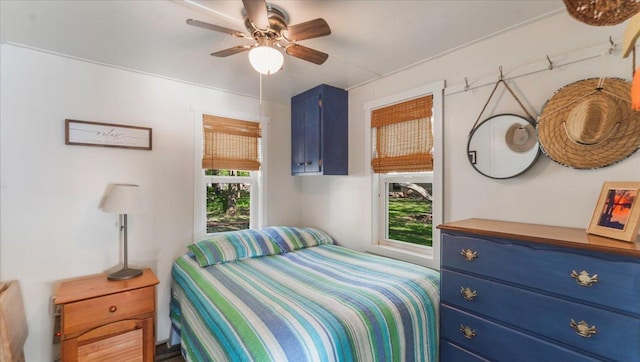 13749 169th Ave, Villard, MN 56385 - bedroom with multiple windows and ceiling fan