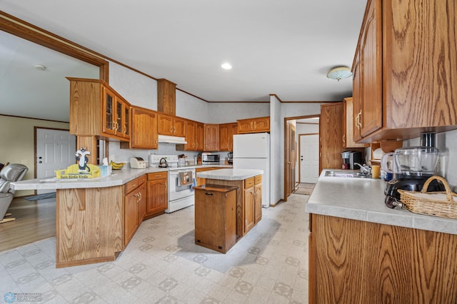 45642 Devils Lake Rd, Edna Twp, MN 56573 - kitchen with white appliances, under cabinet range hood, a peninsula, crown molding, and glass insert cabinets
