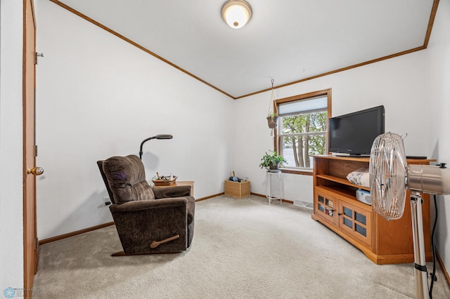 45642 Devils Lake Rd, Edna Twp, MN 56573 - sitting room with ornamental molding, carpet, and baseboards