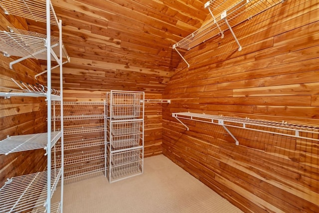 1460 36th St, Minneapolis, MN 55408 - view of spacious closet