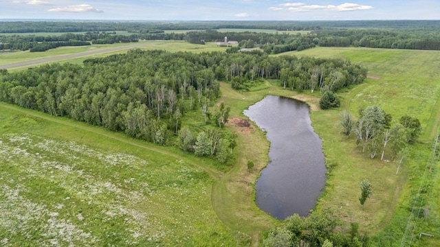 40335 Government Rd, Barry Twp, MN 55037 - view of property location featuring a large body of water and rural landscape