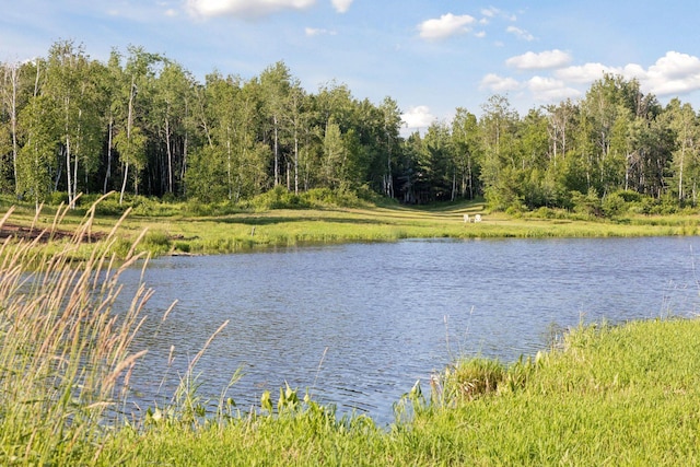 40335 Government Rd, Barry Twp, MN 55037 - water view