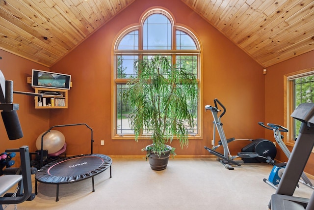 40335 Government Rd, Barry Twp, MN 55037 - workout room featuring carpet floors and vaulted ceiling