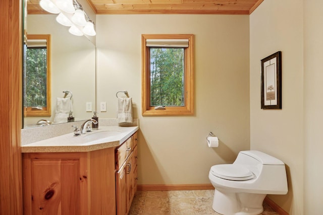 40335 Government Rd, Barry Twp, MN 55037 - half bathroom with wood ceiling and vanity