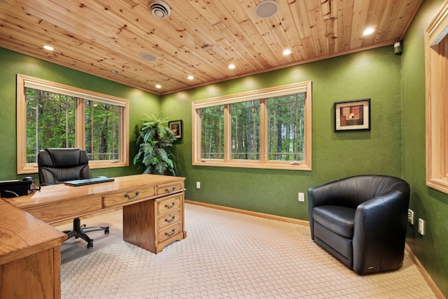 40335 Government Rd, Barry Twp, MN 55037 - office space with recessed lighting, wood ceiling, and carpet