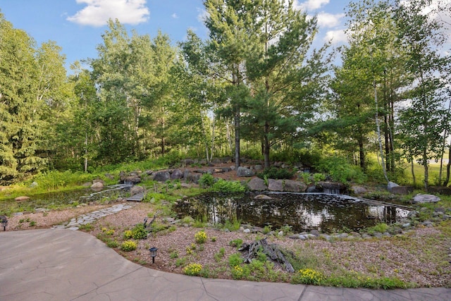 40335 Government Rd, Barry Twp, MN 55037 - view of yard featuring a garden pond
