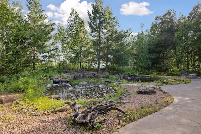 40335 Government Rd, Barry Twp, MN 55037 - view of yard featuring a small pond