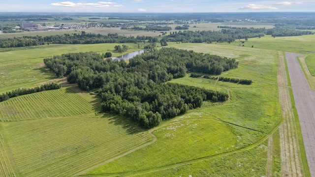 40335 Government Rd, Barry Twp, MN 55037 - view of rural area