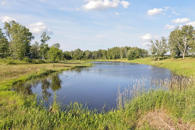 40335 Government Rd, Barry Twp, MN 55037 - water view
