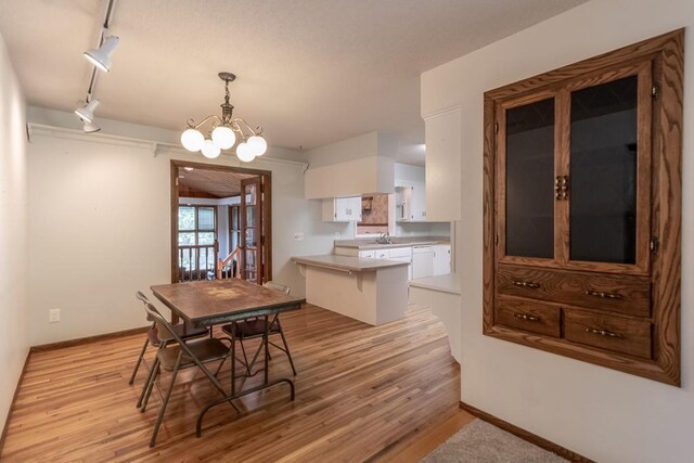 11197 608th Ave, Danville Twp, MN 56068 - dining area featuring light wood-style floors, a chandelier, track lighting, and baseboards