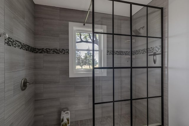 11197 608th Ave, Danville Twp, MN 56068 - full bathroom featuring a shower stall