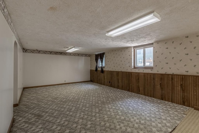 11197 608th Ave, Danville Twp, MN 56068 - below grade area featuring a textured ceiling, carpet, wood walls, and wainscoting