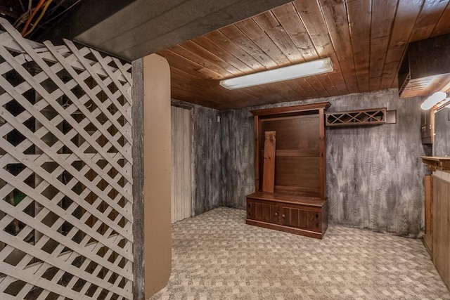 11197 608th Ave, Danville Twp, MN 56068 - finished basement with wood ceiling, wooden walls, and carpet flooring