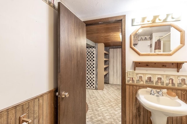 11197 608th Ave, Danville Twp, MN 56068 - full bath with a sink